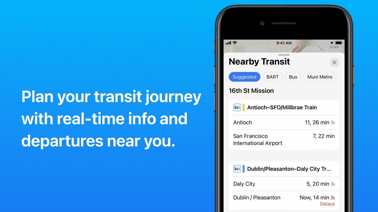 Apple Maps place details